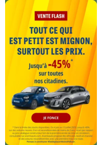 Prospectus Aramis Rennes : Vente Flash