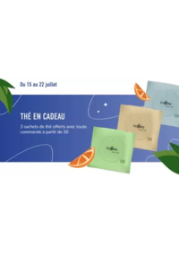 Prospectus Coffea Paris 76 rue Orderner : Thé en Cadeau