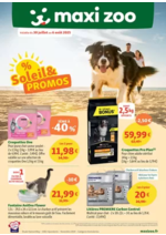 Prospectus  : % Soleil & Promos