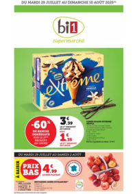 Prospectus bi1 NOGEN-SUR-VERNISSON : Catalogue Bi1