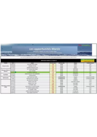 Prospectus Promocash Ales : Catalogue Promocash