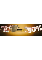 Promos et remises  : Offres du moment