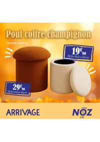 Prospectus Noz Lécousse : Pouf coffre champignon