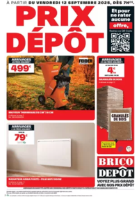 Prospectus Brico Dépôt PETITE FORET : Les arrivages Brico Dépôt !