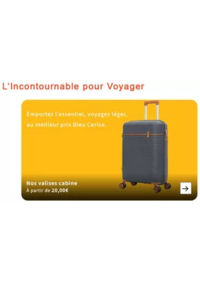 Prospectus Bleu cerise CC Carrefour Salanca : Promotions