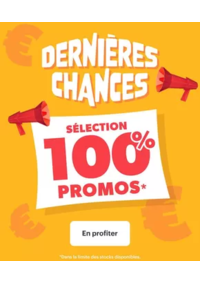 Prospectus Chronodrive BONDOUFLE : En Promos