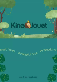 Prospectus KING JOUET CAMBRAI/PROVILLE : Promotions