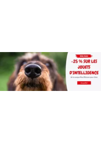 Prospectus Médor & Compagnie Chasseneuil-du-Poitou : -25 % sur les jouets d'intelligence