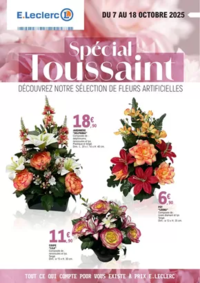 Prospectus E.Leclerc BLOIS : OP TOUSSAINT