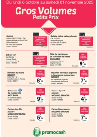 Prospectus Promocash Anglet : Cros volumes Petits Prix