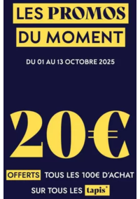 Prospectus Saint Maclou Niort : Tapis