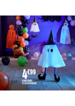 Prospectus  : HALLOWEEN