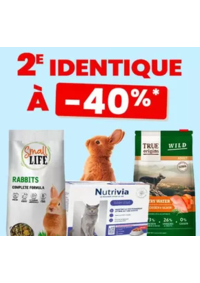 Prospectus Animalis Groslay : 2ème à -40% identique