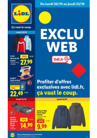 Prospectus Lidl SAVERNE : Profiter d'offres exclusives avec lidl.fr, ça vaut le coup