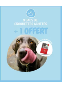 Prospectus Médor & Compagnie Chaponost : 9 sacs de croquettes achetés + 1 sac OFFERT