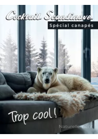 Prospectus Cocktail Scandinave Pringy : Spécial canapés 2025