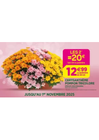 Prospectus Delbard Morzine : Célébrons la Toussaint ensemble !