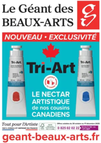 Prospectus Le Géant des Beaux-Arts LILLE : Catalogue Le Géant des Beaux-Arts