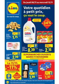 Prospectus Lidl LABEGUDE : Retrouvez la gamme Favorina à prix Lidl : panettone, biscuits de Noël, pâte d'amande...